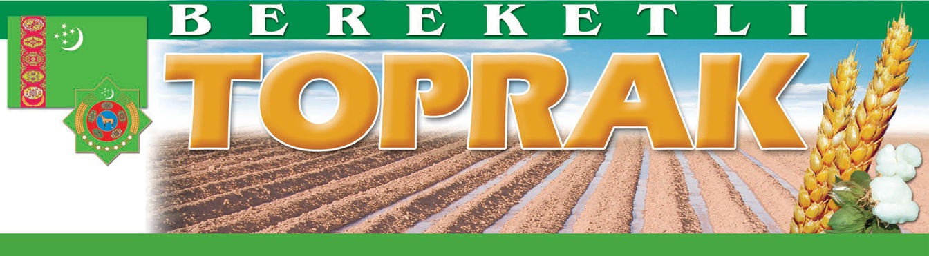 Bereketli toprak gazeti